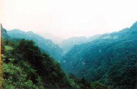中華山國家森林公園