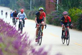 七彩雲南格蘭芬多國際腳踏車節 七彩雲南格蘭芬多國際腳踏車節