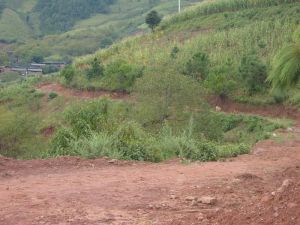 青雞窩村 青雞窩村