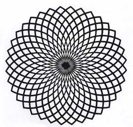 幻覺產生幻覺 幻覺產生幻覺