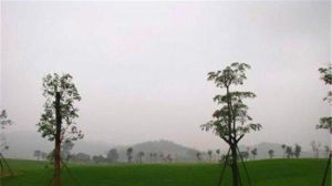 中信山語湖高爾夫球會 中信山語湖高爾夫球會