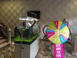 迪茨[浙江台州家居品牌]