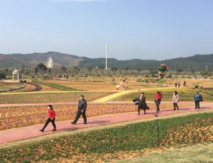 臥龍灣武夷花花世界