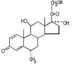 甲潑尼龍 甲潑尼龍
