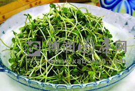 涼拌蘿蔔苗 涼拌蘿蔔苗