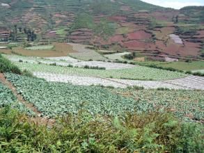 城門硐村 城門硐村