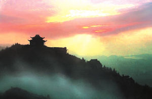 大雲山森林公園 大雲山森林公園