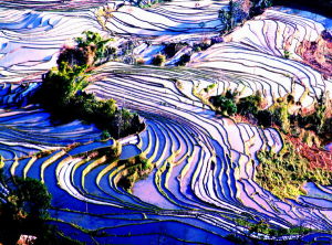 覃建華攝影作品