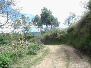 下達自然村 下達自然村