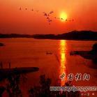 郴州飲食文化 郴州飲食文化