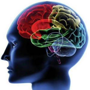 非常大腦[網際網路教育品牌]