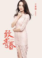 致青春[2016年楊文軍執導電視劇]