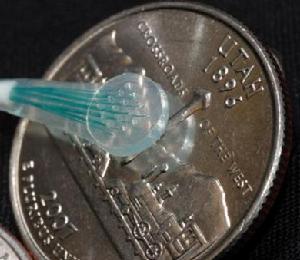 　微電極陣列，也被稱為微腦皮層電圖電極格線。一組微電極陣列排列成4*4的模式，被展示於一枚25美分硬幣上。