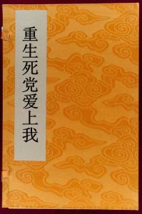 重生死黨愛上我 重生死黨愛上我