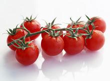 番茄紅素β-環化酶
