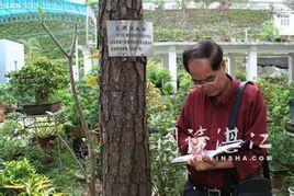 園林工程師 園林工程師