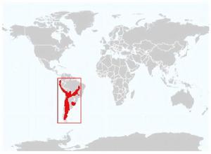 潘帕斯貓分布圖