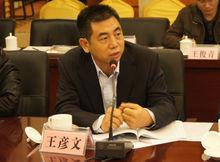 王彥文[中國礦業大學教授]