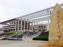 廣東省高水平大學