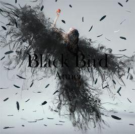 Black Bird Black Bird