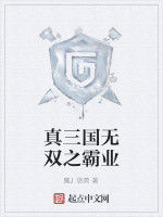真三國無雙之霸業 真三國無雙之霸業