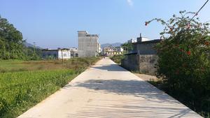 美沙村&middot;主幹道