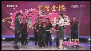 極限功夫上央視三套表演