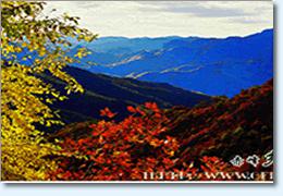 馬鞍山國家森林公園