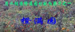 清水鋪鎮橙滿園村