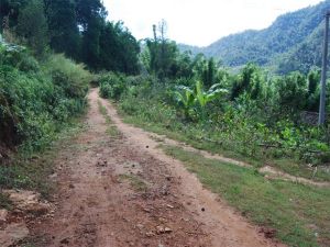 大龍攤自然村 大龍攤自然村