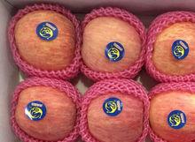 煙臺紅富士蘋果-鳳鳴楊格