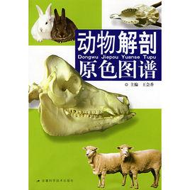 動物解剖原色圖譜 動物解剖原色圖譜
