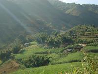 酸耙根自然村 酸耙根自然村