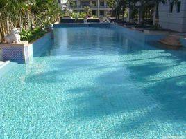 游泳池水處理藥劑 游泳池水處理藥劑