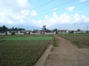 邑尾自然村 邑尾自然村