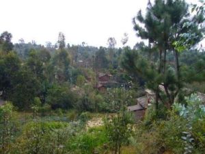 小磨枝村 小磨枝村