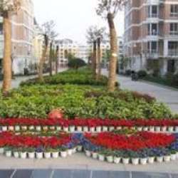 瑤池巷小區 瑤池巷小區