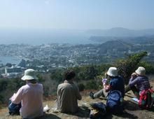 東伊豆溫泉 東伊豆溫泉