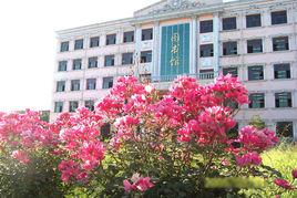 靈壽中學 靈壽中學