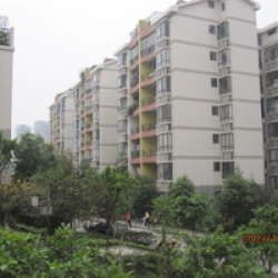 立邦盛景天下 立邦盛景天下