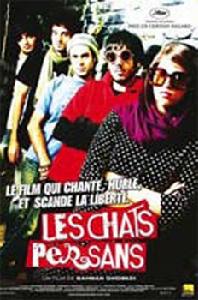 無人知曉的波斯貓