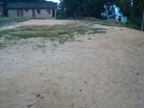 桃子樹自然村[雲南普洱景谷縣民樂鎮桃子樹村桃子樹自然村]