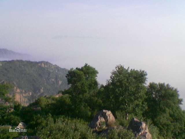 大茂山原始森林