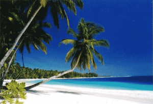 西普拉島 西普拉島