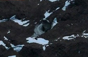 外星人基地 外星人基地