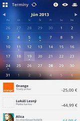 日曆視圖 日曆視圖