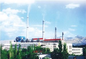 國電新疆紅雁池發電有限公司 國電新疆紅雁池發電有限公司