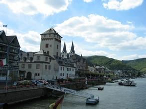 萊茵河化學藥品事故 萊茵河化學藥品事故