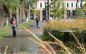 亞當斯州立學院