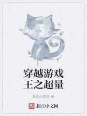 穿越遊戲王之超量 穿越遊戲王之超量